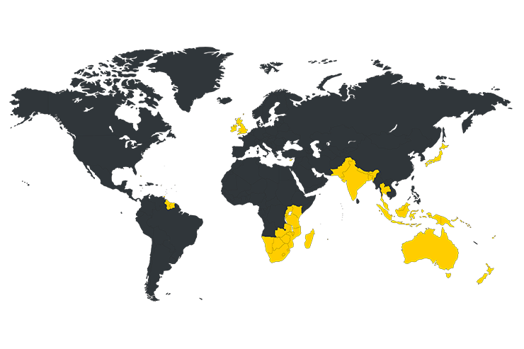 autogroup international