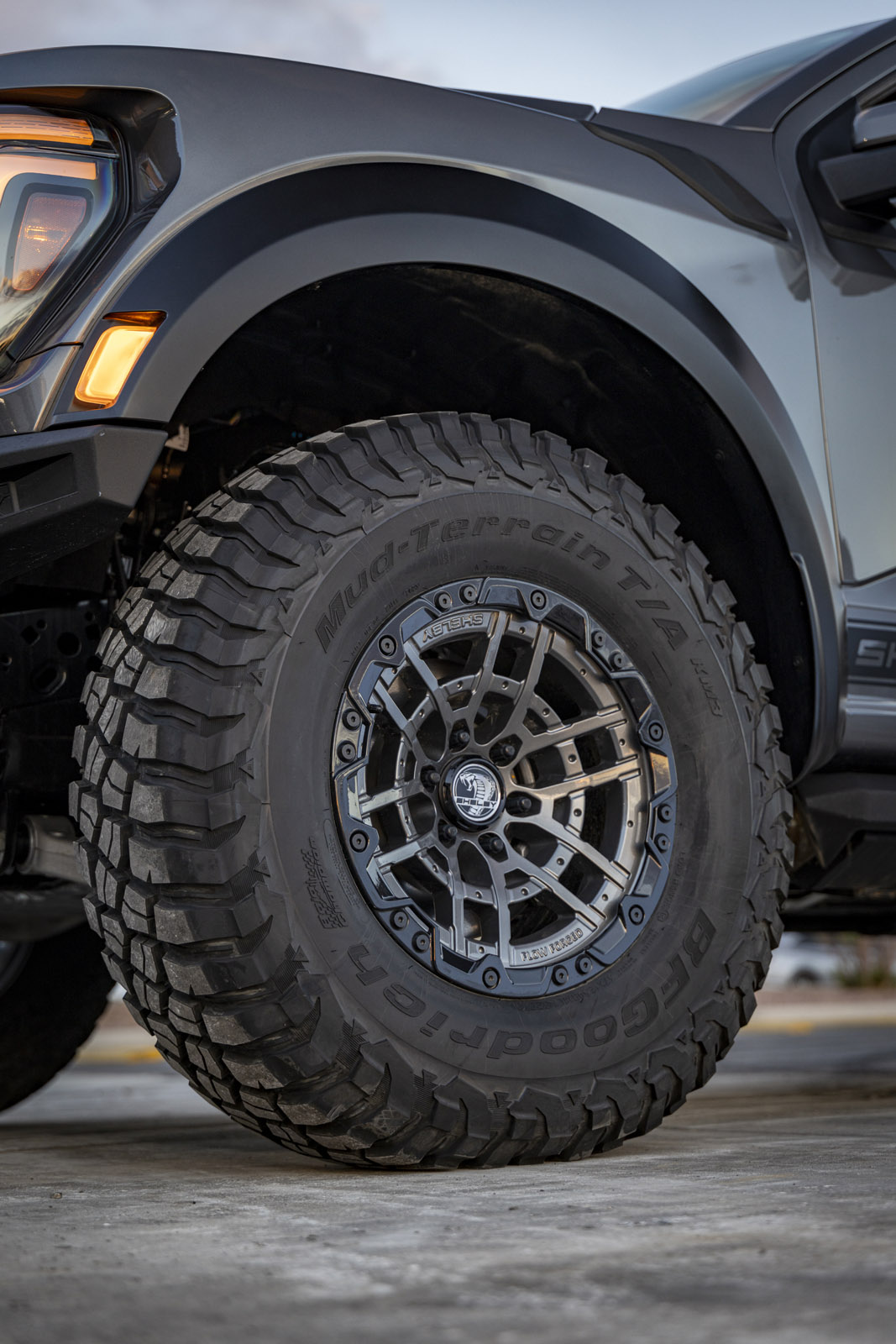 shelby_raptor_15